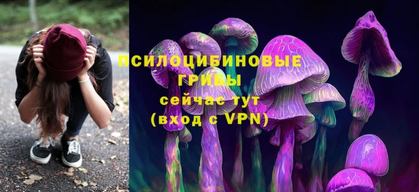ECSTASY Гусев