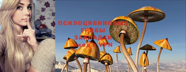 MESCALINE Гусь-Хрустальный